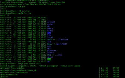 ¿Cómo cambiar permisos a archivos o directorios bajo linux?